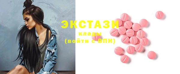 ECSTASY Бородино